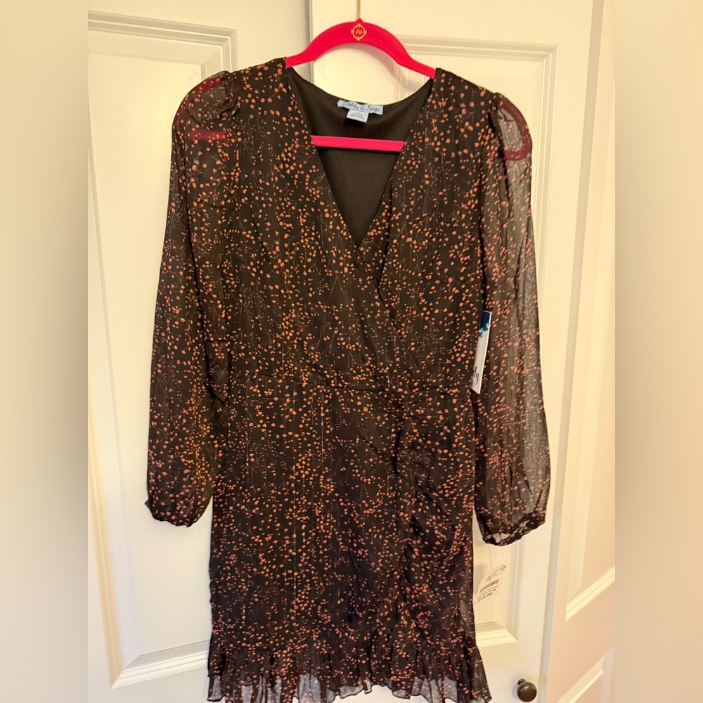 Long sleeve dress. NWT